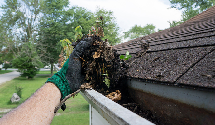 gutter debris cleaning