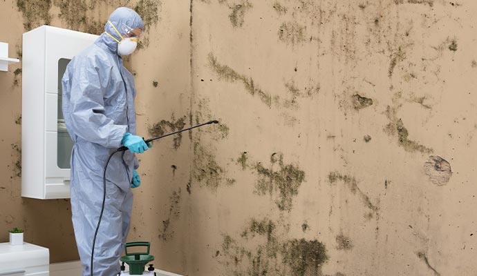 person in protective gear cleaning moldy wall